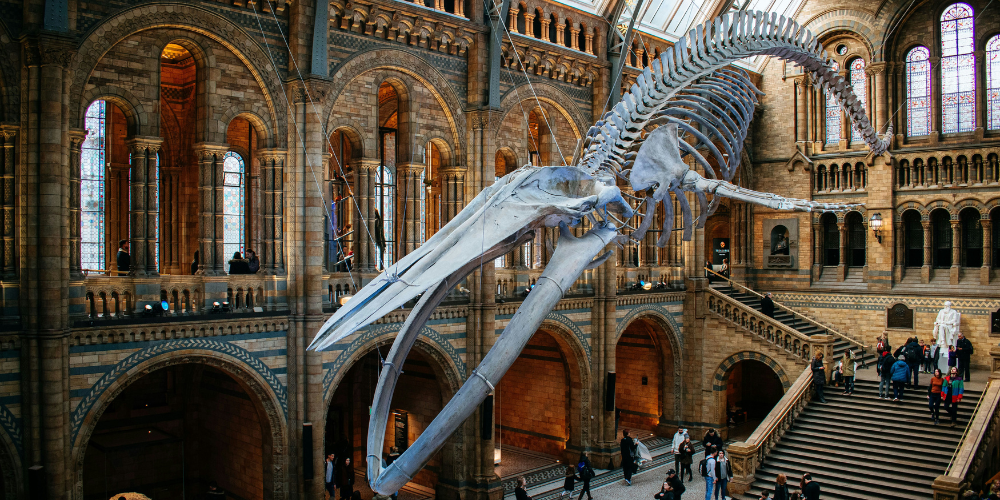 Natural History Museum London